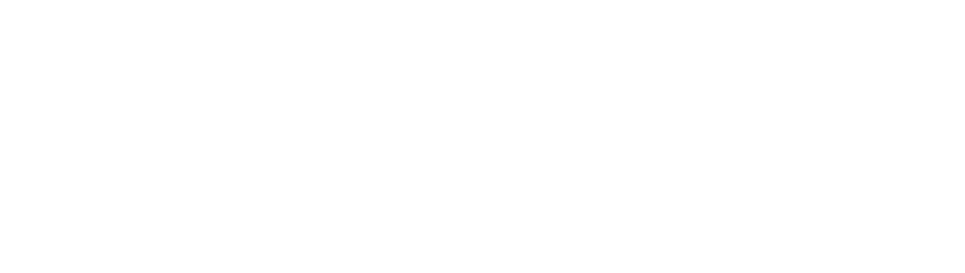 Ladies in the Lead_Logo_white